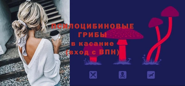 тгк Богданович