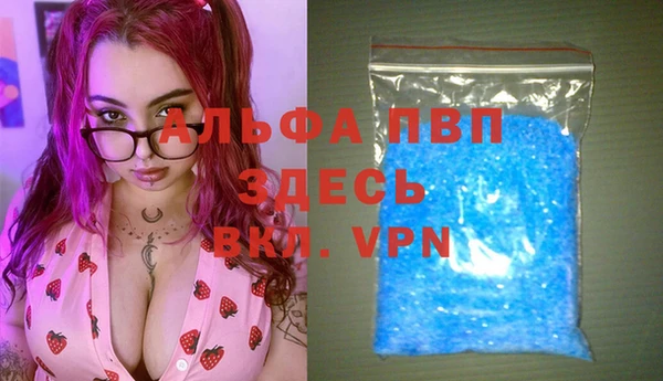 стафф Зеленокумск