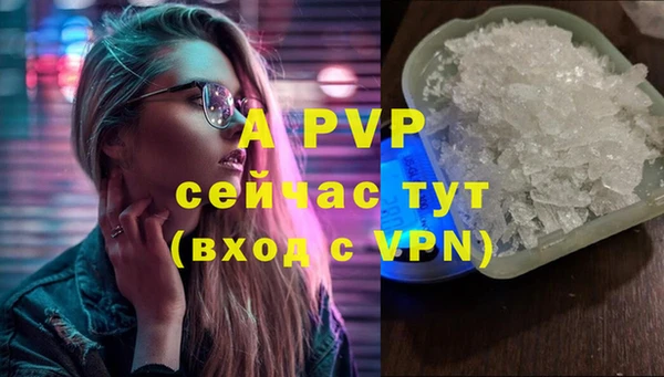 ПСИЛОЦИБИНОВЫЕ ГРИБЫ Богородицк