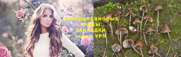 ПСИЛОЦИБИНОВЫЕ ГРИБЫ Богородицк