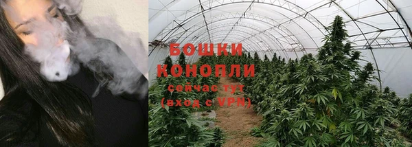 тгк Богданович