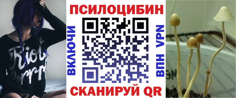 Псилоцибиновые грибы Psilocybe  Дрезна 